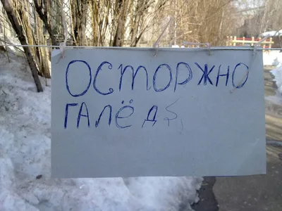 Зимний смех: гололед в объективе