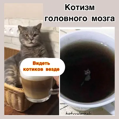 Юмористические фотографии гололеда