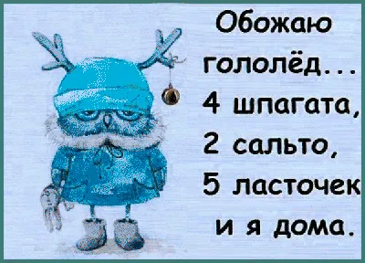 Гололед: смешные картинки для скачивания бесплатно