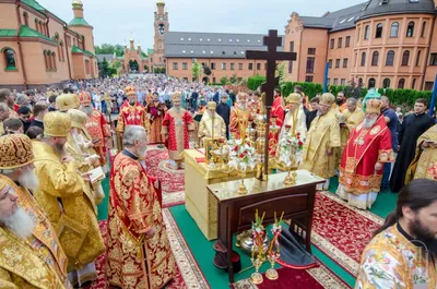 Фотографии Голосеевской пустыни: встреча с дикой природой