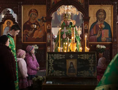 Фото Голосеевской пустыни: погружение в мир дикой природы