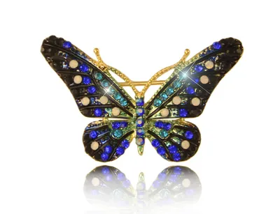 Бабочка в голубых тонах на фотографии в формате PNG