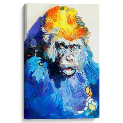 Эксклюзивный взгляд: Снимки уникальной Голубой обезьяны
