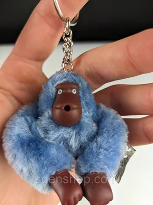 По стопам Голубой обезьяны: Заглянуть в их мир на фото