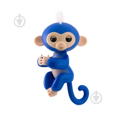 Фото голубой обезьяны на рабочий стол в хорошем качестве