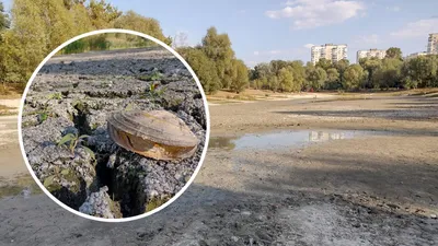 Фото Голубого озера в Киеве, воплощение спокойствия и красоты