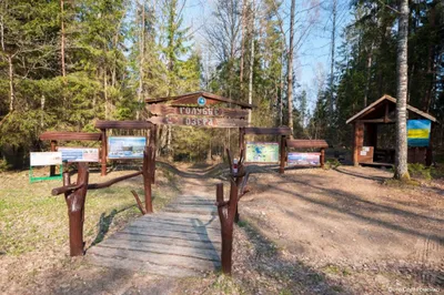 Голубые озера Беларуси: живописные фотографии для вашего экрана