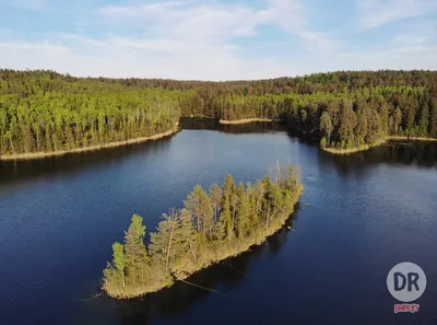 Фото Голубых озер Беларуси в HD качестве