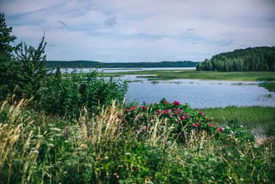 Фото Голубых озер Беларуси в стиле фантазийного искусства
