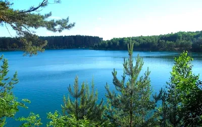 Природные чудеса: Голубые озера Черниговской области на фото