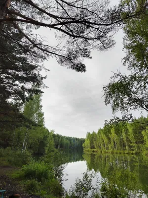 Увлекательное путешествие по Голубым озерам Суворова: фотоотчет