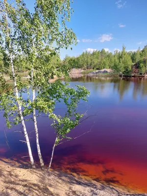 Фотография голубых озер в Суворове