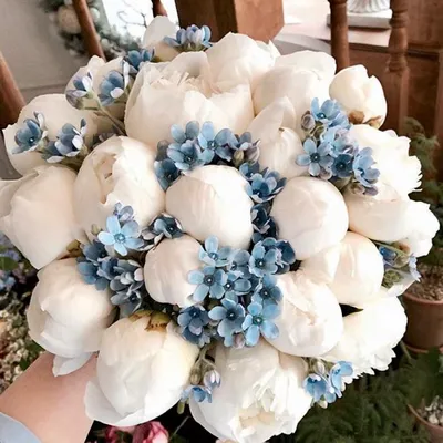 Изображение голубых пионов для свадебного декора