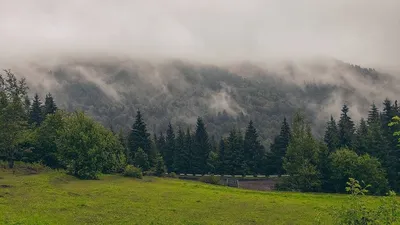 Фотографическое путешествие в Карпаты: Впечатляющие кадры