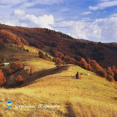 Рисунки природы гор Карпат