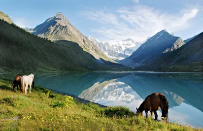 Погружение в невероятные пейзажи: фото потрясающих гор