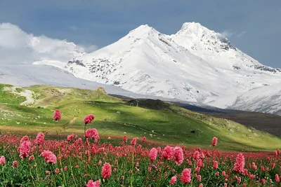 Горные вершины во всей красе: Фотоальбом для ценителей красоты природы