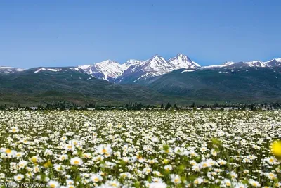 Фото горы Арагац в высоком разрешении (HD)