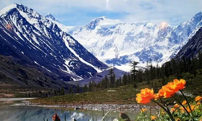 Фоны Горы Белуха Алтай в резком качестве: скачать в формате PNG