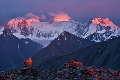 Фото величественной Горы Белуха Алтай
