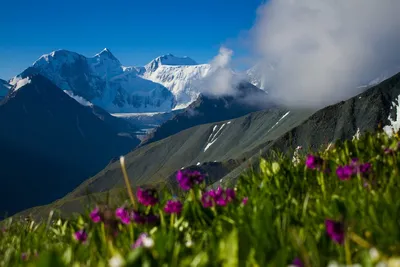 Фотографии Горы Белуха Алтай, переносящие в другой мир