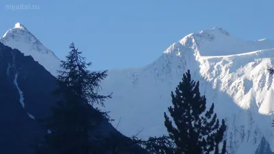 Рисунок Горы Белуха Алтай в высоком качестве