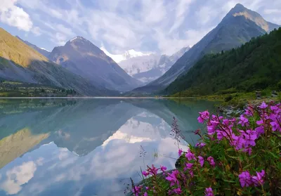 Скачать фото Горы Белуха Алтай бесплатно: сохраните незабываемые моменты