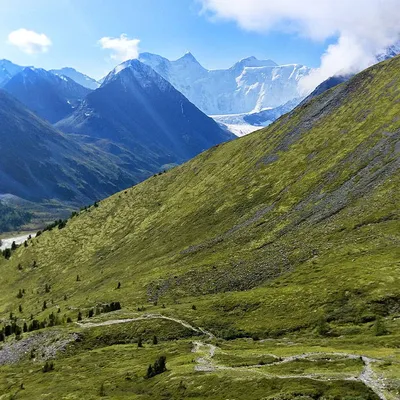 Гора Белуха: символ дикой природы и богатства Алтайского края
