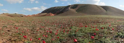 Фотографии, раскрывающие уникальные черты Горы Богдо