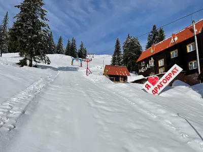 Альпийские чудеса Горы Драгобрат в фотоформате