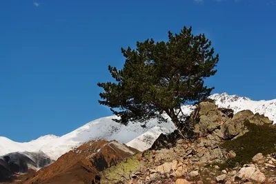 Фотографии Горы Эльбрус в формате jpg