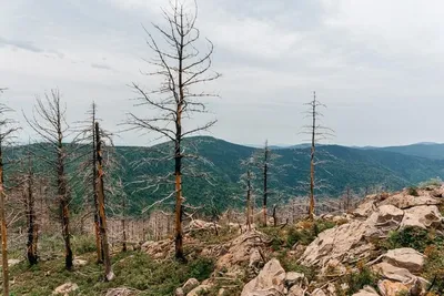 Путешествие в мир высоты: фотографии Горы фалаза