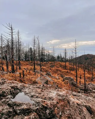 Фотография горы Фалаза на айфон