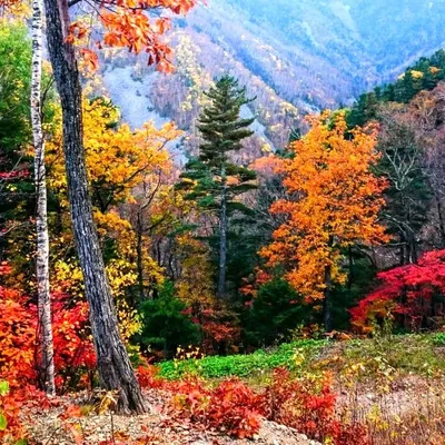 Впечатляющие фотографии горы фалаза