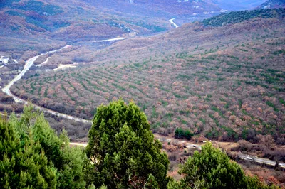 Гора гасфорта: скачайте бесплатно качественные фото.