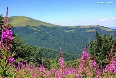 Удивительные фото Гора гемба в HD качестве