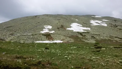 Оазис спокойствия: Фото, которые захватывают дух Горы Ямантау