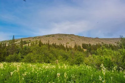 Фотографии Горы Ямантау: скачать бесплатно в хорошем качестве