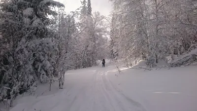 Скачать бесплатно обои на рабочий стол с горой Юрма