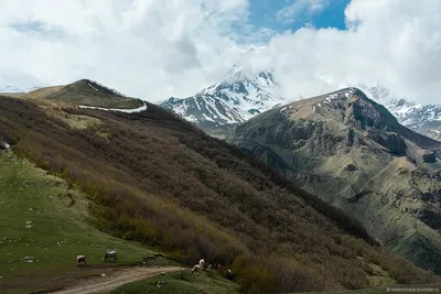 Уникальные изображения горы Казбек