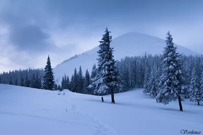 Гора хомяк в Карпатах: красивые картинки в HD качестве