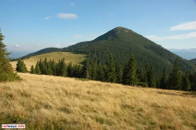 Удивительные моменты с Горы Хомяк в Карпатах (фото)