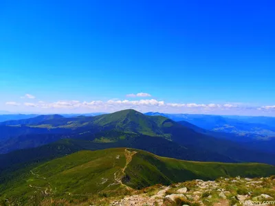 Загадочная Гора Хомяк в Карпатах (фото)