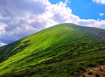 Волшебные виды Горы Хомяк в Карпатах (фото)