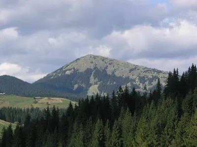 Гора хомяк в Карпатах - красивые картинки для скачивания