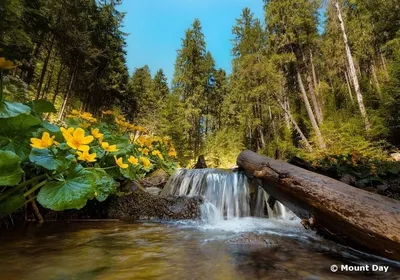 Фото горы хомяк в Карпатах: красивые изображения в HD качестве для iOS устройств