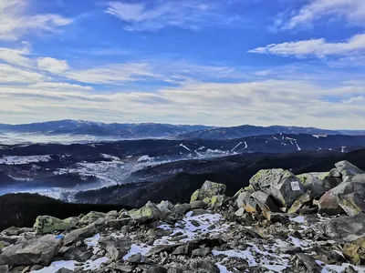 Ослепительная красота Горы хомяк на фото