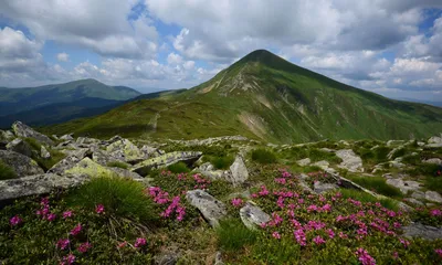 Фото горы хомяк в HD качестве на андроид