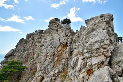 Захватывающие виды Горы кошка в Крыму на фото