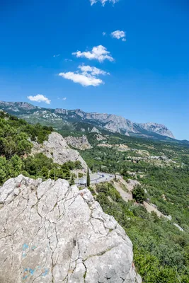 Восхитительная Гора кошка в Крыму: Богатство природы